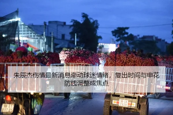 img_1780380293477_1129_2_913.jpg
